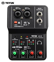 TEYUN Q-12 Professional Audio Sound Mixer with Monitor Electric Guitar Live Broadcast Recording for Studio Singing Computer PC