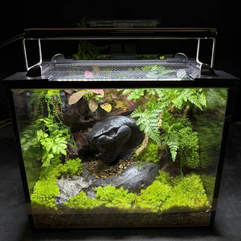 コブラの頭蓋骨彫刻、車や家のディスプレイ用ギフト、爬虫類飼育 - Home Decor Habitat のレビューと価格