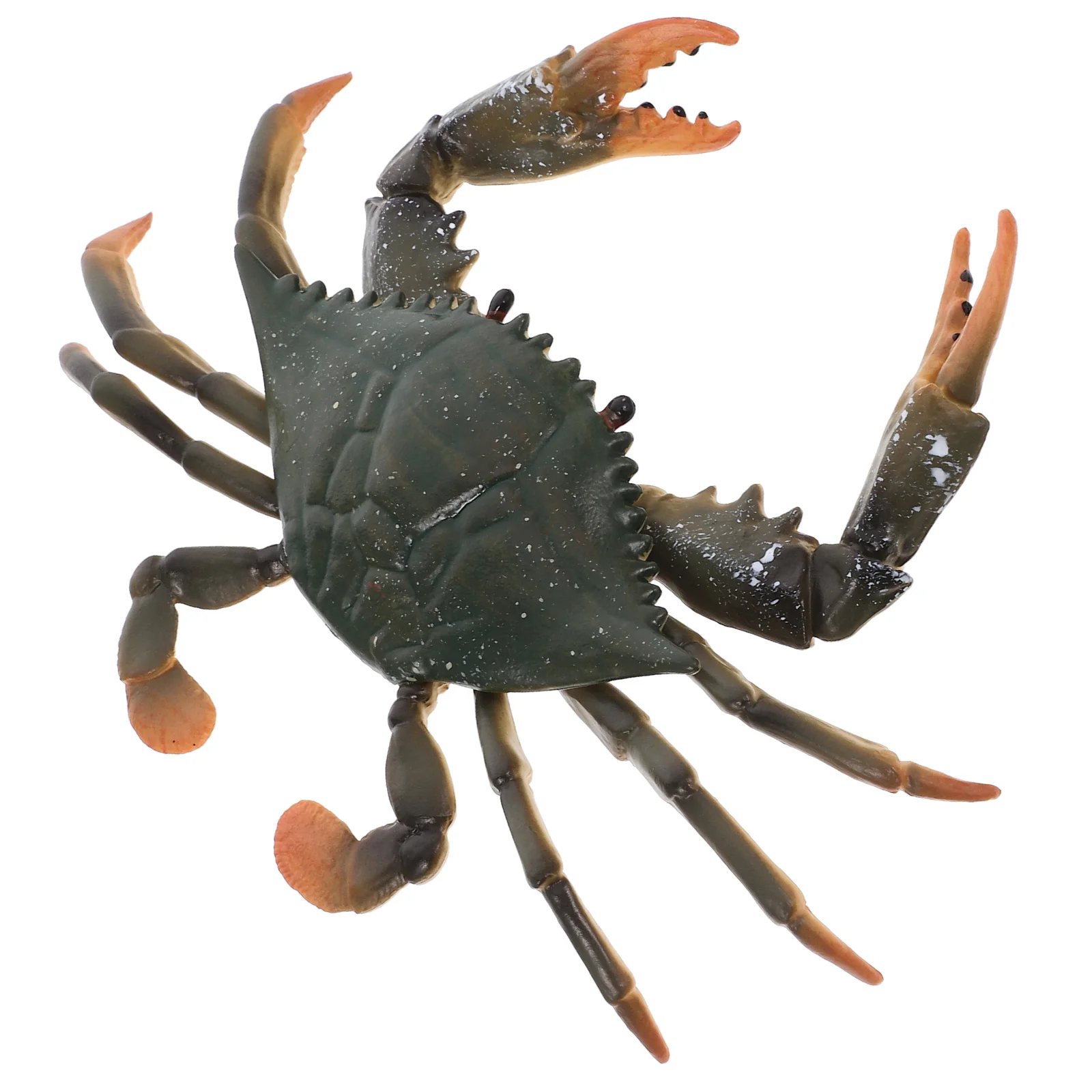 Figurines de crabe de simulation, jouets modèles d'animaux marins, éducation des enfants