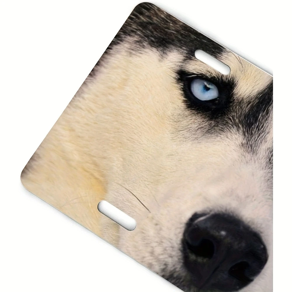 Customized creative picture aluminum license plates-Texas Aluminum Plates - 6x12 Inches -Stainless Steel with Aluminum Exterior image 4