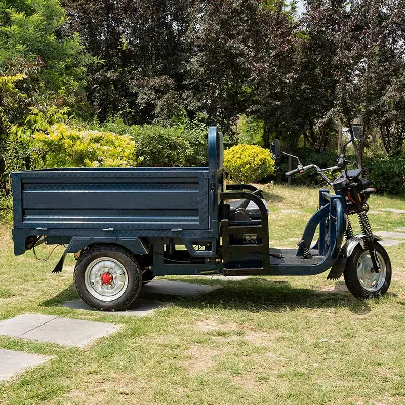 Yc Heavy Duty Farm Volta Electric Freight Tricycle 1000w 3 Adult Three Wheel Electric Freight Bike