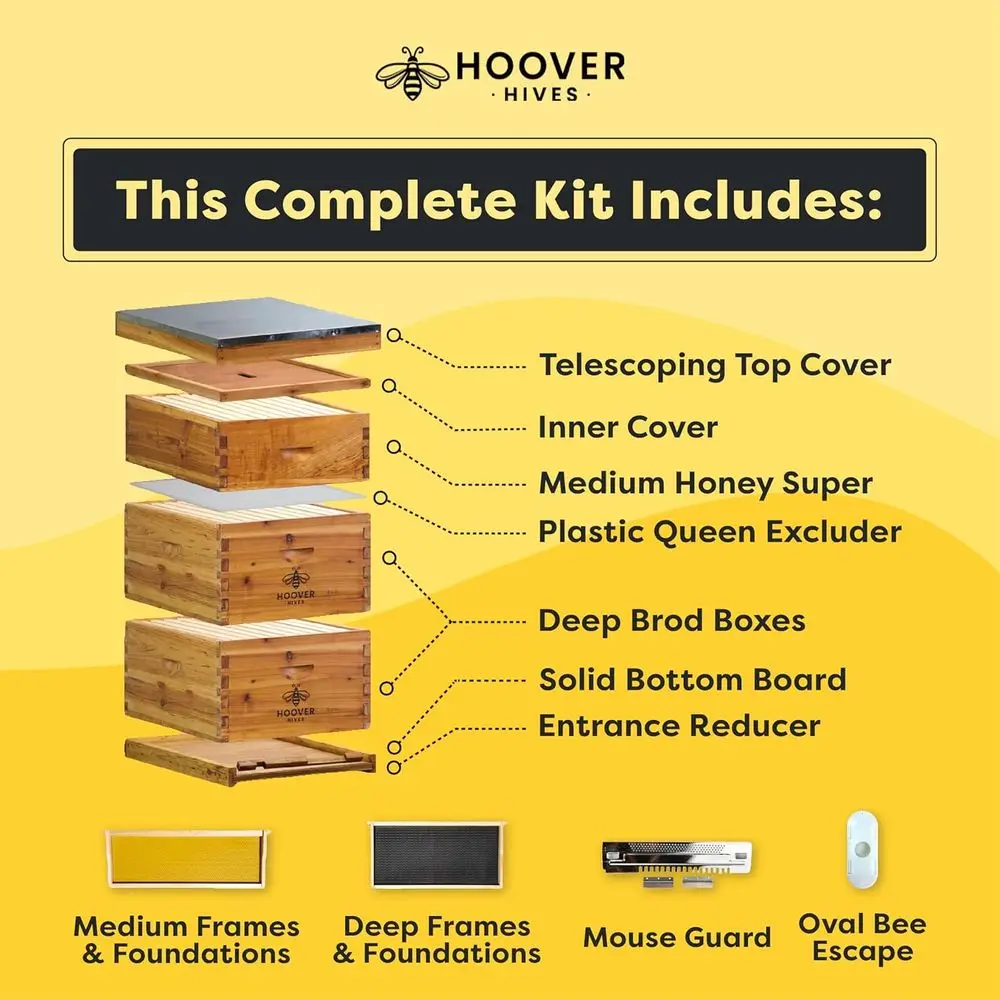 Honeybee Hive Kit: 2 Deep Boxes, 1 Medium, 10 Frames, Wax-Coated Foundations, Easy Assembly