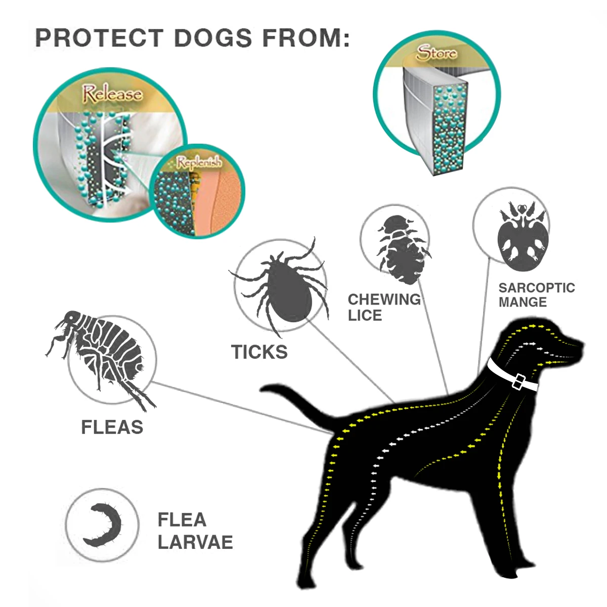 Dogs Mosquitoe Repellent Collar Pet Antiparasitic Anti Flea Tick Collar For Small Large Dog Cat Leash Retractable Dog Accessorie