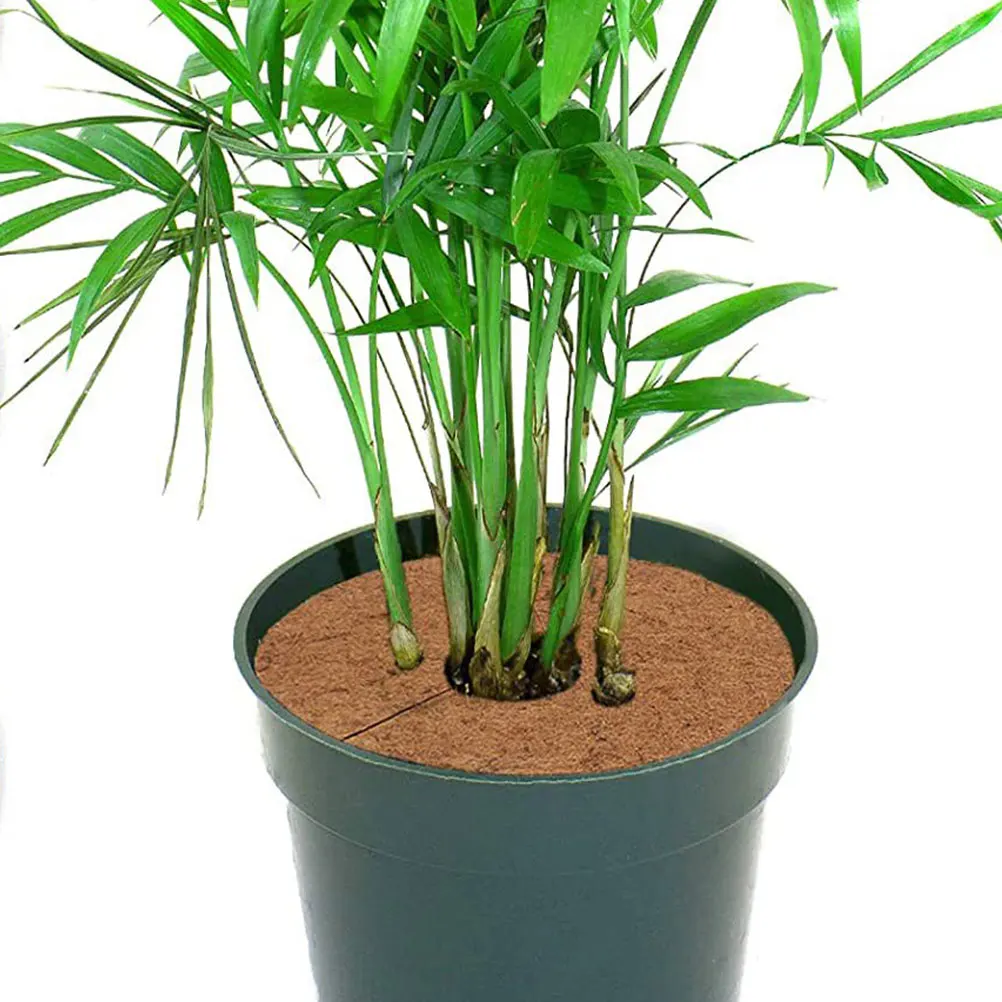 

5pcs Coir Flowerpot Spacer 30CM Tree Mulch Circles Protector Durable Breathable Tree Rings Mulch Mats Plant Guards