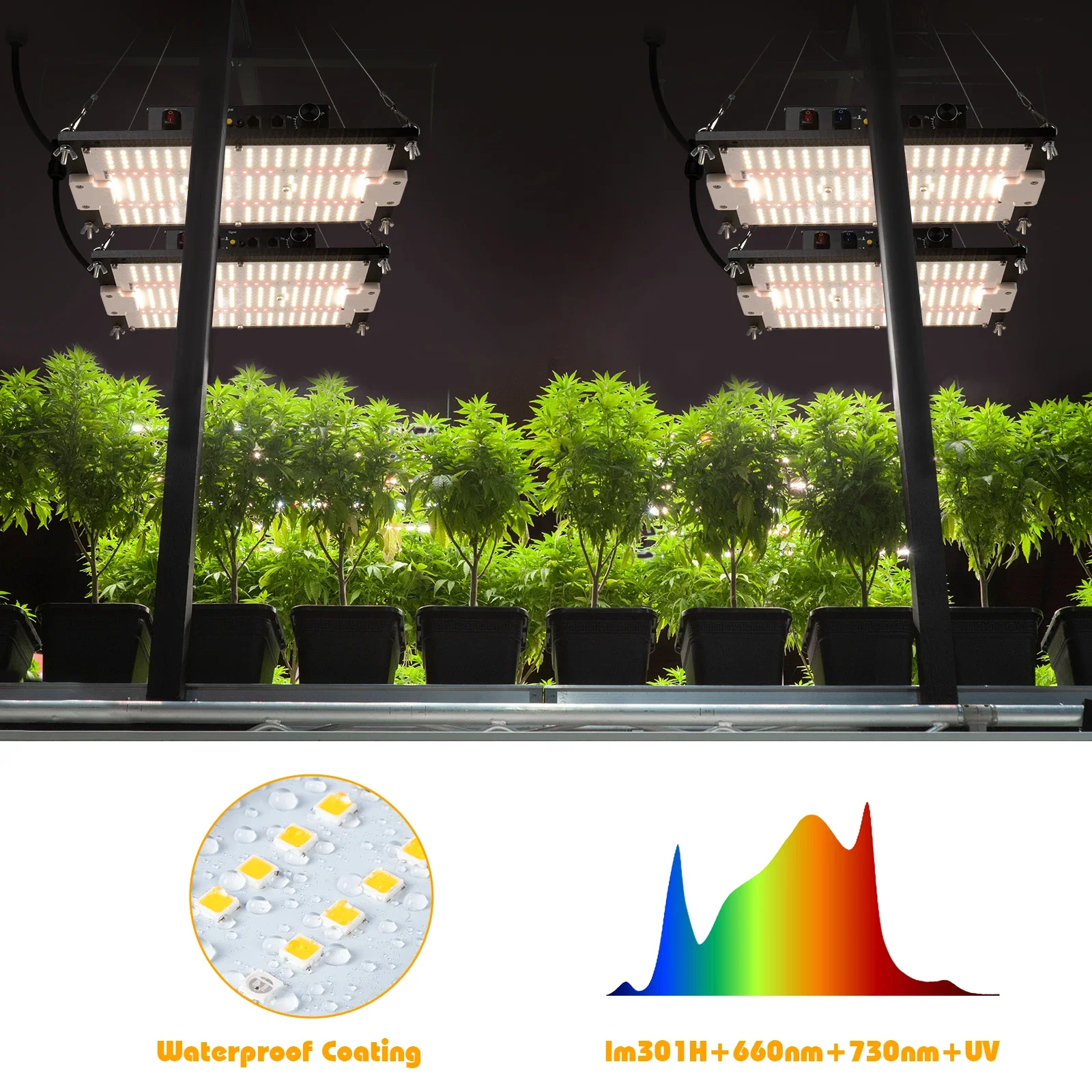 Smart control Led Plant Grow Lights aluminum heatsink full spectrum led board lm301H EVO 120w grow lights for indoor plants