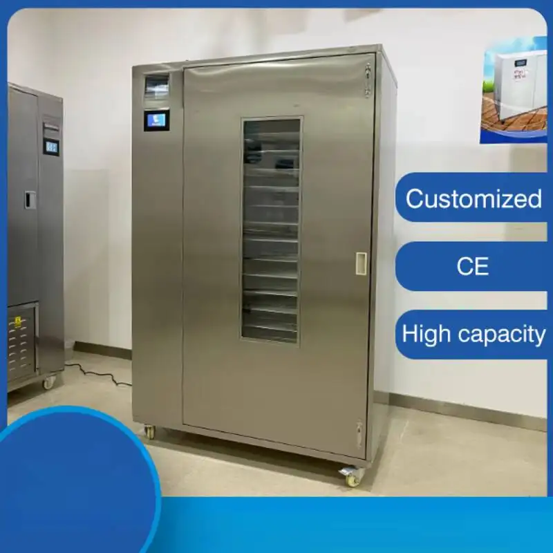 New 100B Industrial Food Drying Equipment Fruit And Vegetable Dryer