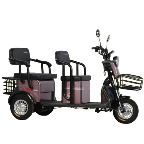 Elderly Disabled People Tricycle 800W Three Wheel Electric Scooter Tricycle For Passenger