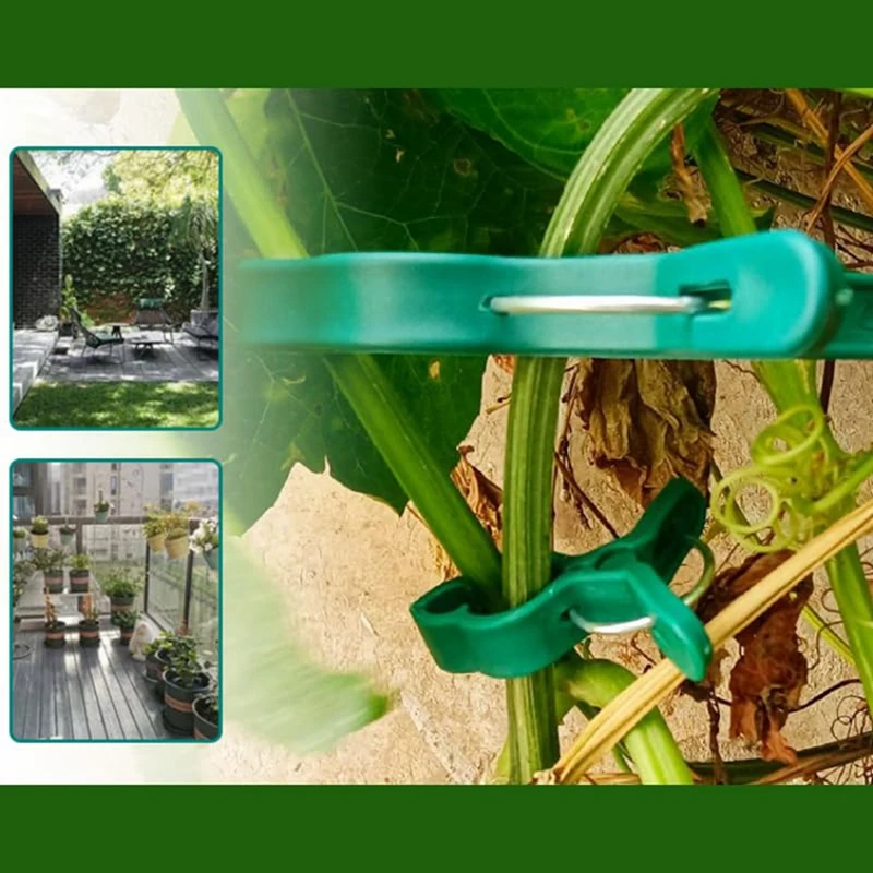 Gardening Clip Phalaenopsis Clip Plant Garden Clip Set Tomato Plant Clip Plastic Clip