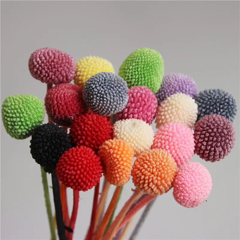 Natural Plant Bouquet Home Decor Dried Flower Craspedia Billy Button Balls Golden Orbs Yellow Romantic Floral Wedding Decoration