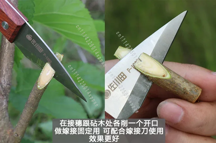 Fruit Tree Seedling Grafting Tool Imported Sono J60 Grafting Machine Multifunctional