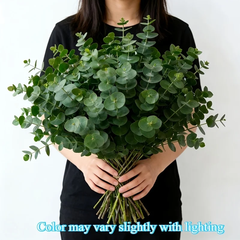 26pcs Green Eucalyptus and Eucalyptus Leaves - Perfect Artificial Greenery, Suitable for Home Decor, Flower Arrangements
