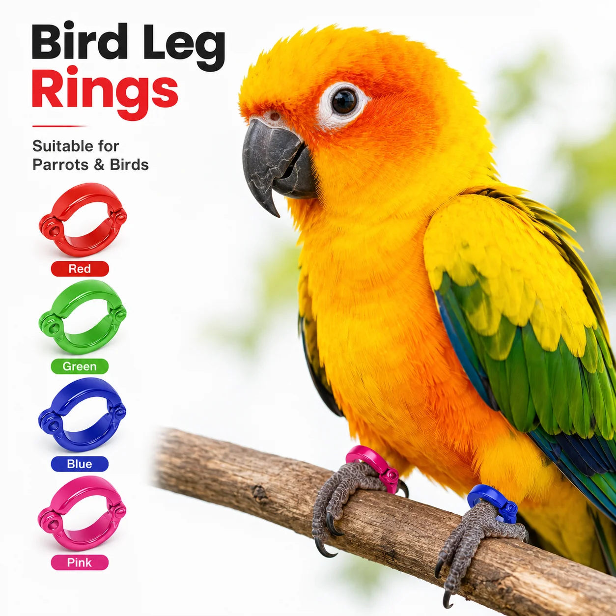 4Pcs Custom Metal Bird Foot Rings with Name Content, a Set of 4 Pieces in Red, Pink, Blue, and Green, Anti-Escape Parrot Foot Rings, Outdoor Flight Training Activity Rings, Bird Foot Rings (Suitable for Small, Medium, and Large Bird Training), Bird Training Tools, Bird Behavior Adjustment Supplies, Durable Structure, Secure Fit Rings, Reinforced Rings, Metal Bird Bands, for Bird Enthusiasts and Professional Bird Breeders