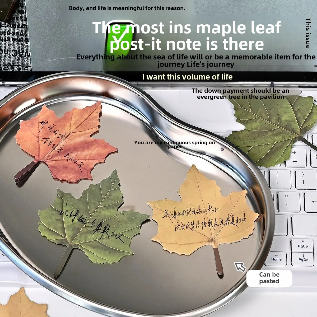 

Липкая бумага для заметок в виде листа, имитация ручной работы, студенческое обучение, специальная креативная наклейка с сообщением, 50 листов, блокнот, канцелярские принадлежности