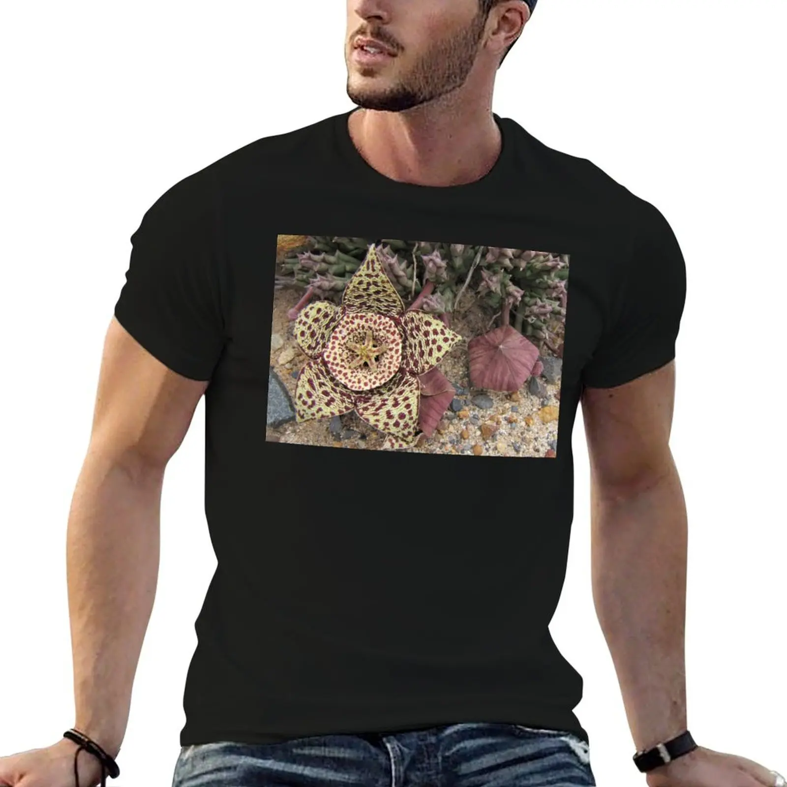 Orbea variegata - the carrion flower T-Shirt Lightweight Basic Short Sleeve Shirt