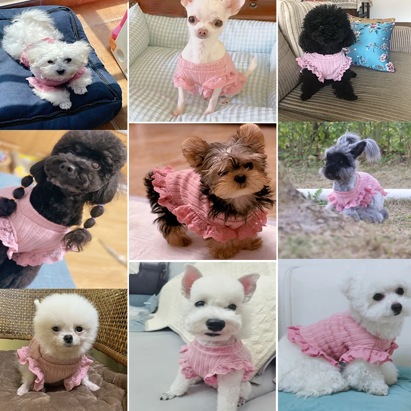 Summer Dog Skirt Short Type Pet Dress Cat Yorkshire Chihuahua Clothing Puppy Costume Apparel Small Dog Clothes Tutu Dropshipping