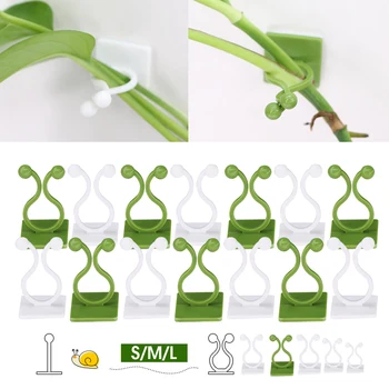 Pince de Fixation en Rotin pour Plantes Grimpantes, Stent Auto-Adhésif Invisible, Outil Professionnel