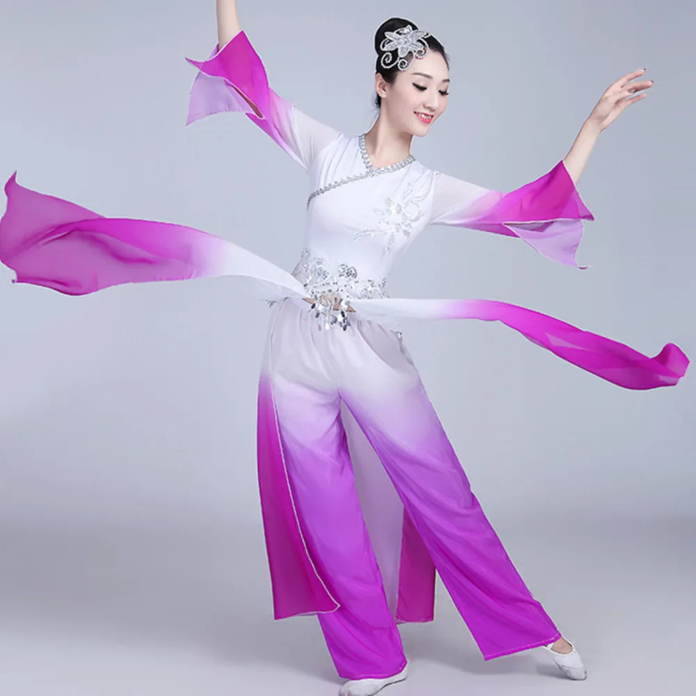 Traditional Classical dancewear chinese folk dance costume for women Water Sleeve dress Yangko Clothing Ancient pant skirt hanfu