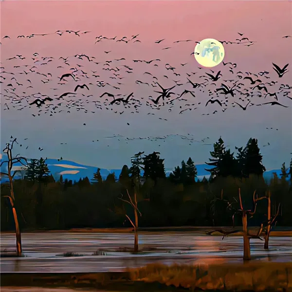 

4pcs 63mm Metal 1.0" Beadlock Wheel Rim Rubber Tire Set for 1/18 1/24 RC Crawler Axial SCX24 AX24 TRX4M FCX24 Upgrade Parts