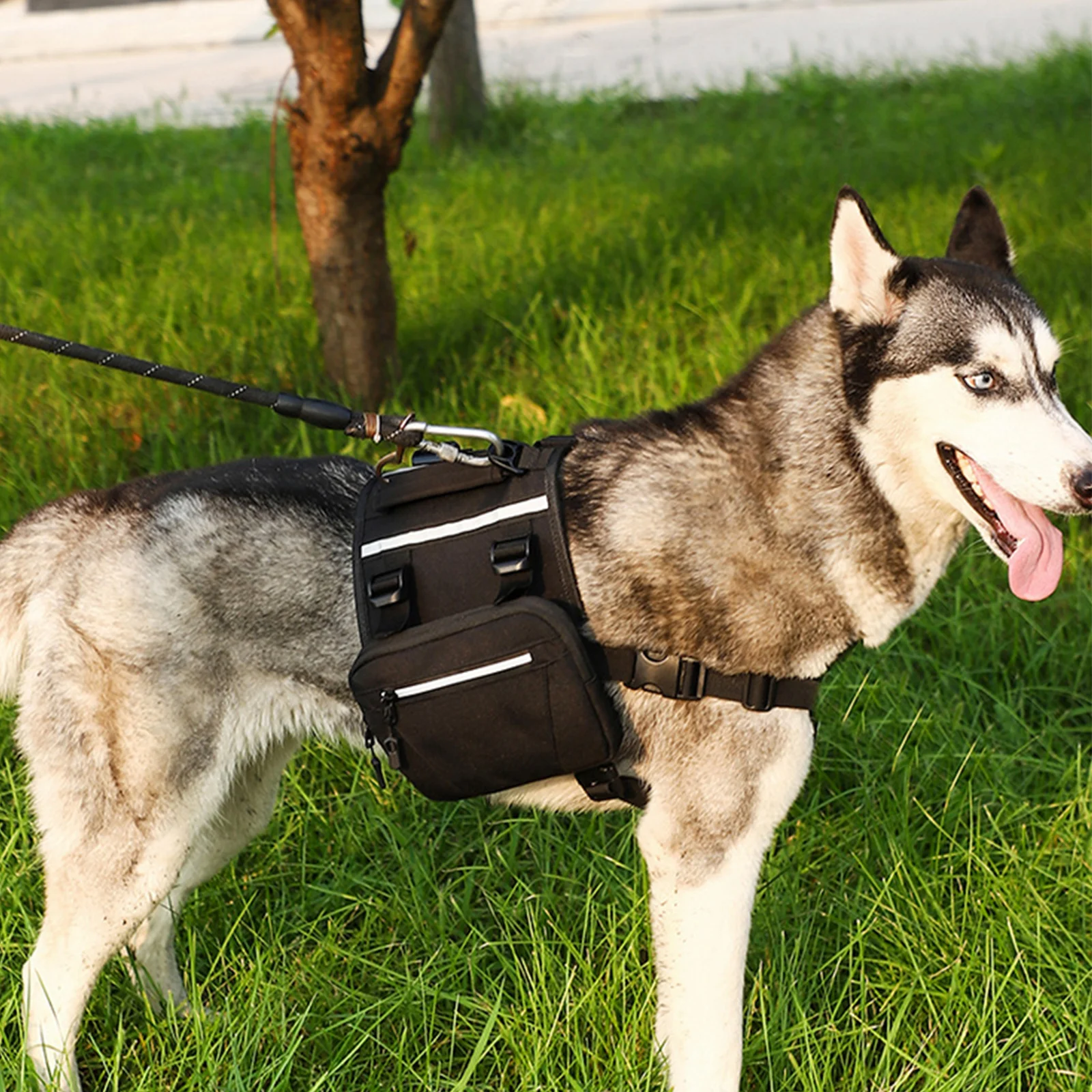 

1pc Dog Self-Wearing Mini Pet Outdoor Bag For Hiking Camping Dog Self-Wearing Bag Walking Travel Gear Pet Backpack