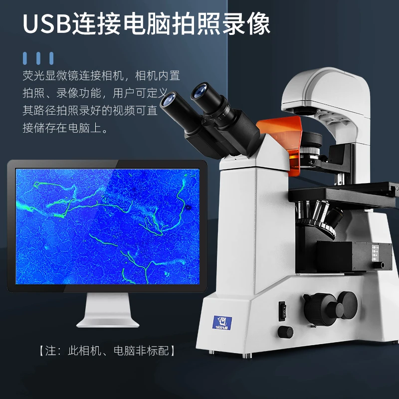 Scientific research grade high definition trinocular infinity inverted LED fluorescence phase contrast microscope 3-band special