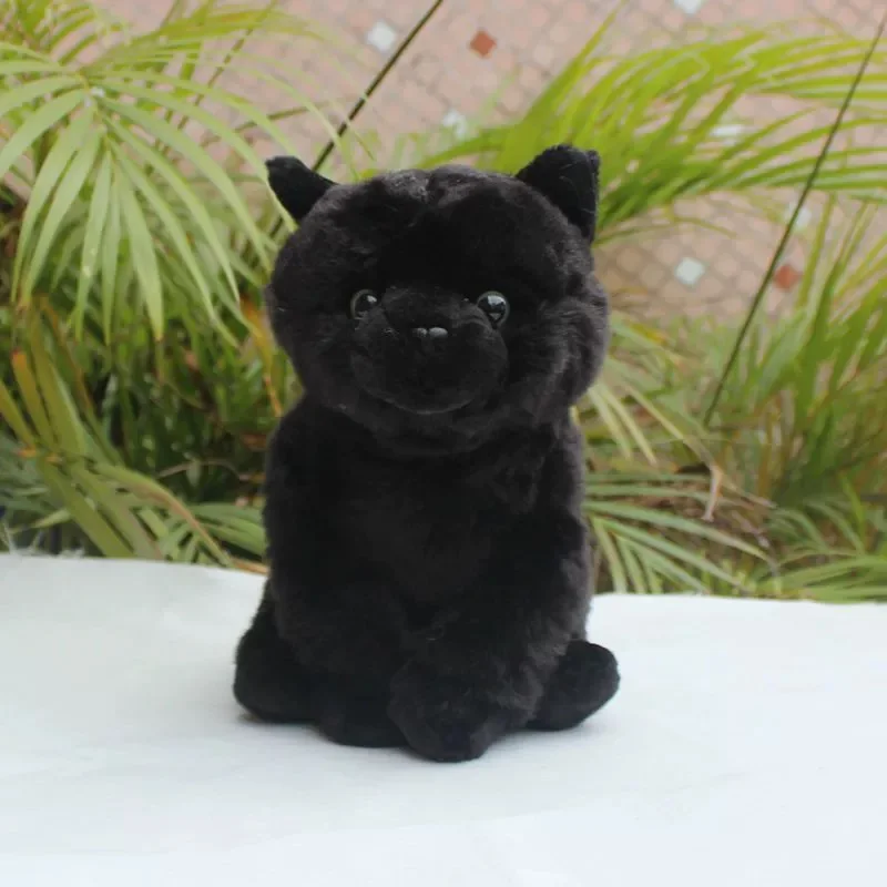 Lifelike Black Cat macio pelúcia brinquedo, gatinho, felis, catus, emulational pet, boneca animal, menina, menino, aniversário, presente de Natal, 1pc