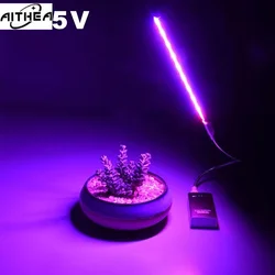 AITHEA Flexible Hose Indoor Greenhouse Phyto USB Lamp 5V LED Full Spectrum Grow Light for Succulent Seeding Hydroponic Lighting