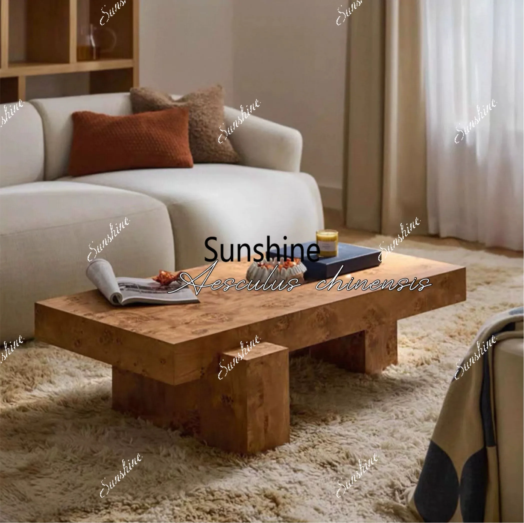 

French retro villa living room high sense light luxury simple rectangular coffee table