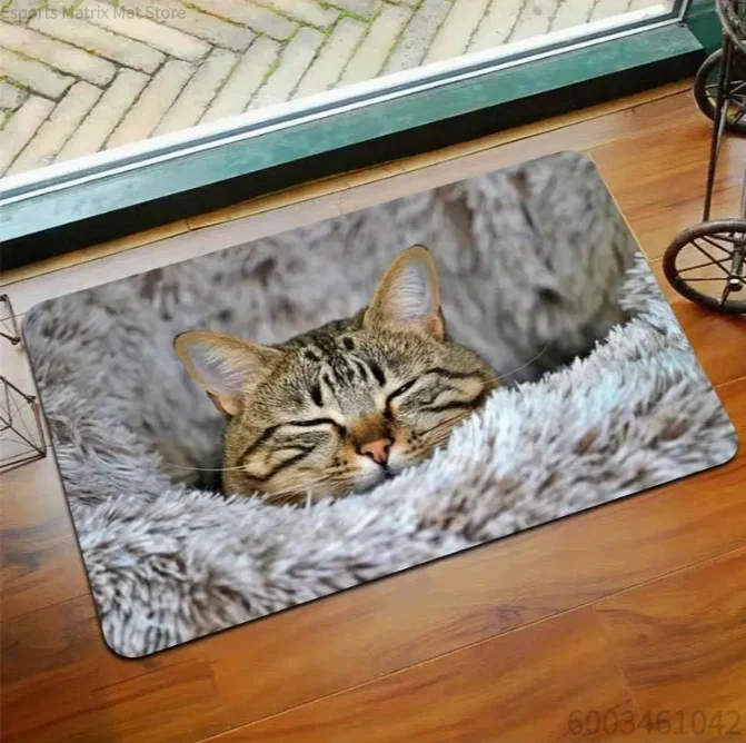 Cute Heart-shaped Print Door Mat Bathroom Floor Mat Ultra-fine Absorbent Mattress Living Room Entrance Mat Camping Picnic Carp