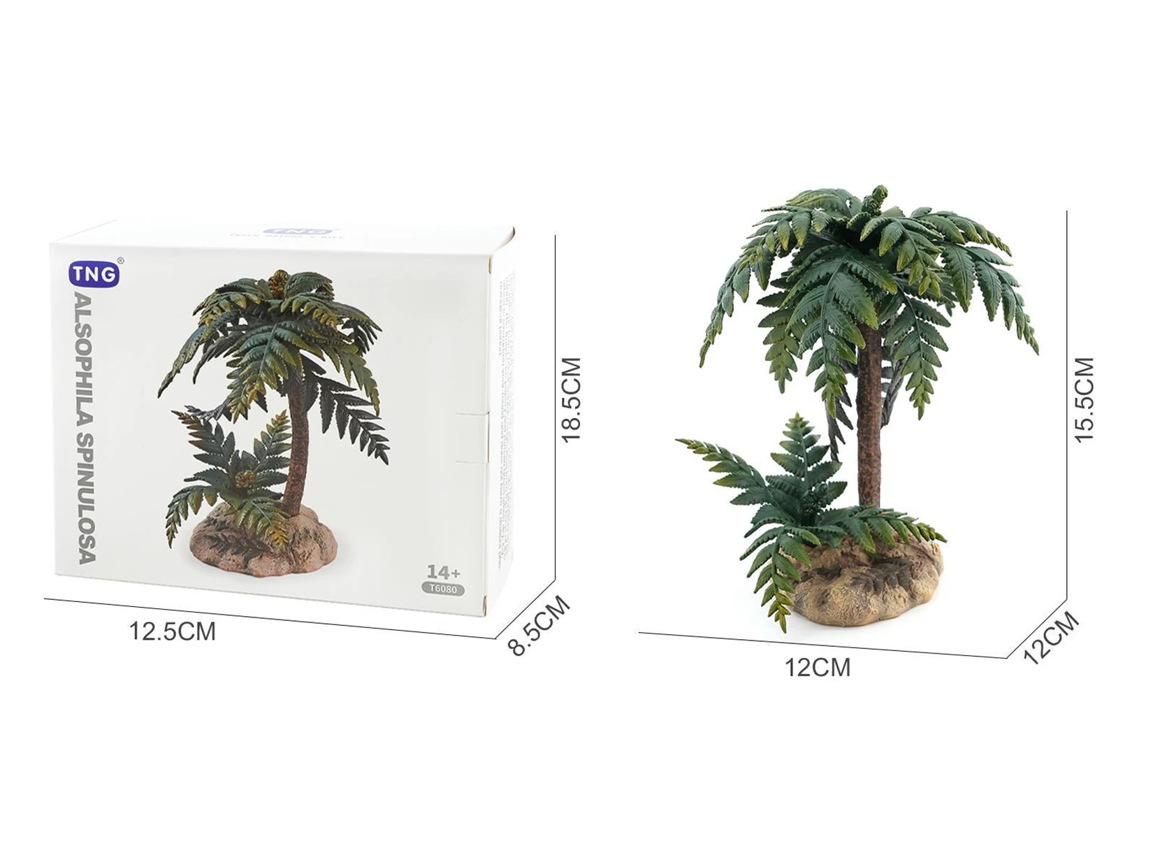TNG Studio T6080 Alsophila Spinulosa Model Pteridophyta Tree Collection Scene Decoration Accessory Birthday Gift Plant Figure