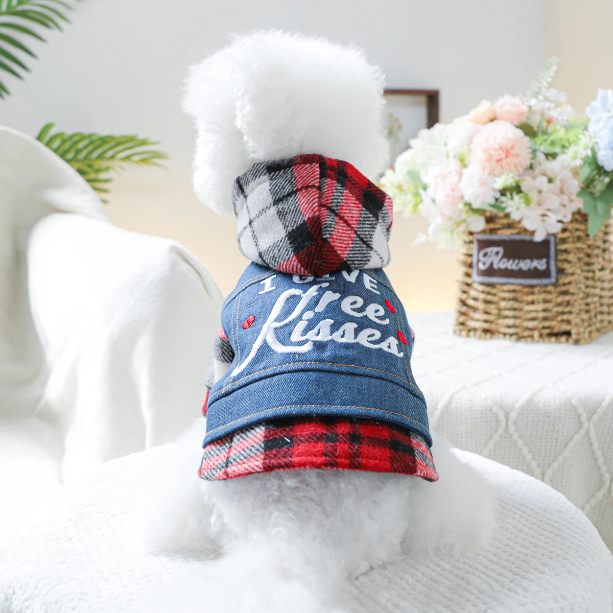 1PC pet clothing dog Spring and autumn kiss denim hat jacket suitable for small and medium -sized dogs