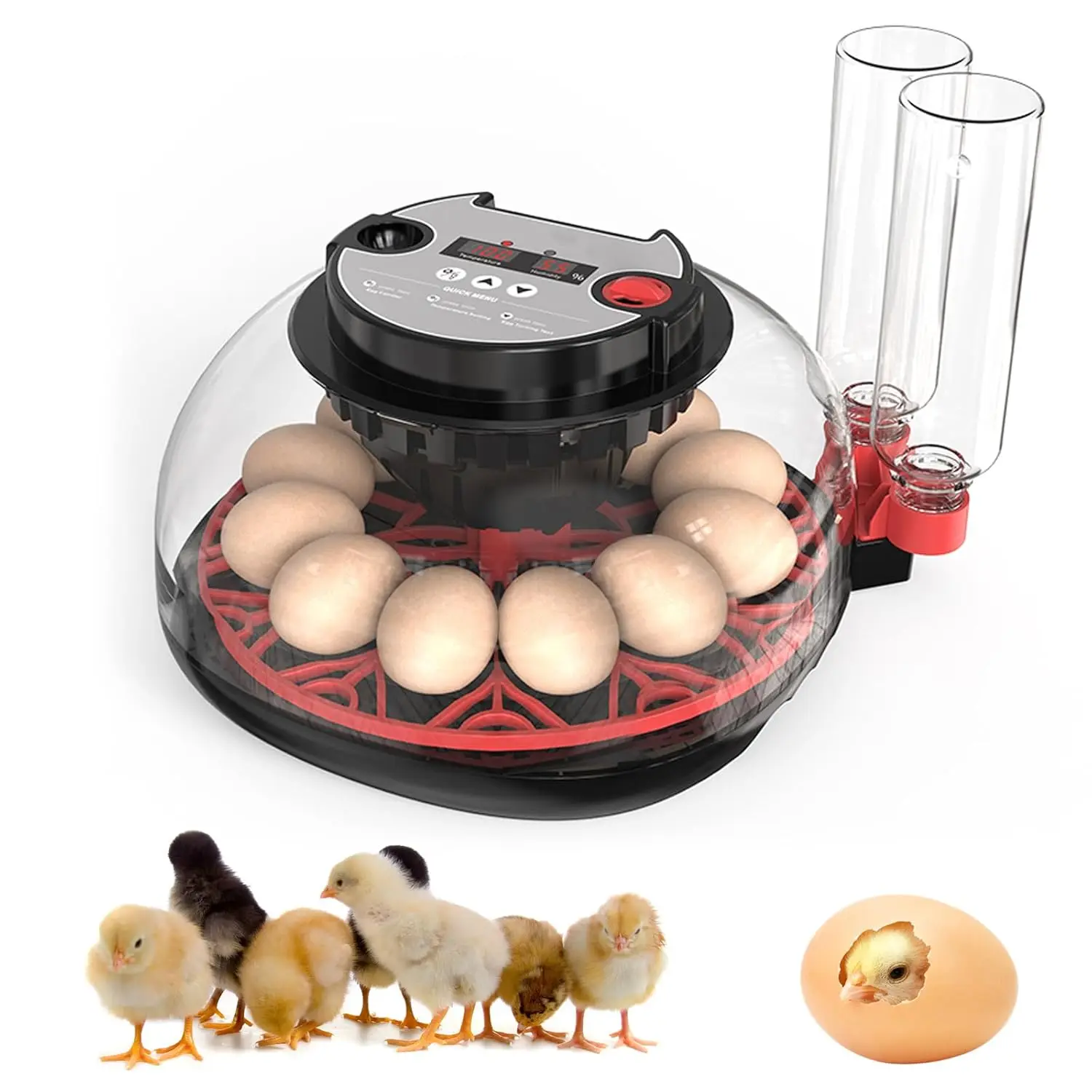 

Incubator for Hatching Eggs 12 Egg Capacity with Temperature and Humidity Control & Automatic Egg Turner Digital 360° Clear View