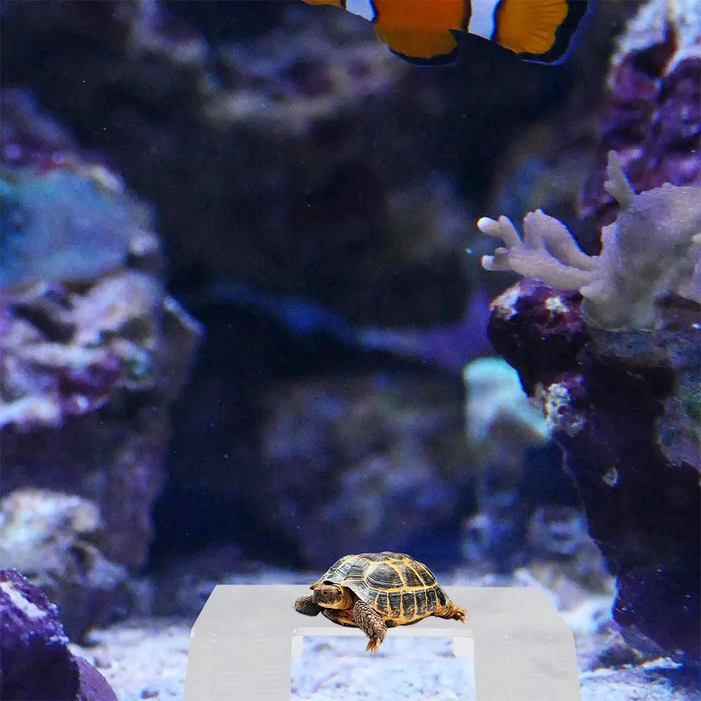

Aquatic Turtle Basking Platform Suction Cups Floating Island Tank Climbing Ramp Reptile Accessories Gecko Lizard