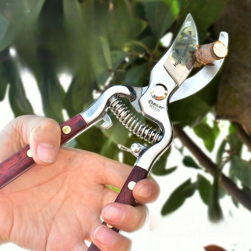 Fruit Tree Pruning, Shearing, Branch Shearing, Gardening Pot Scissors, Flower and Wood Thick Branch Shears