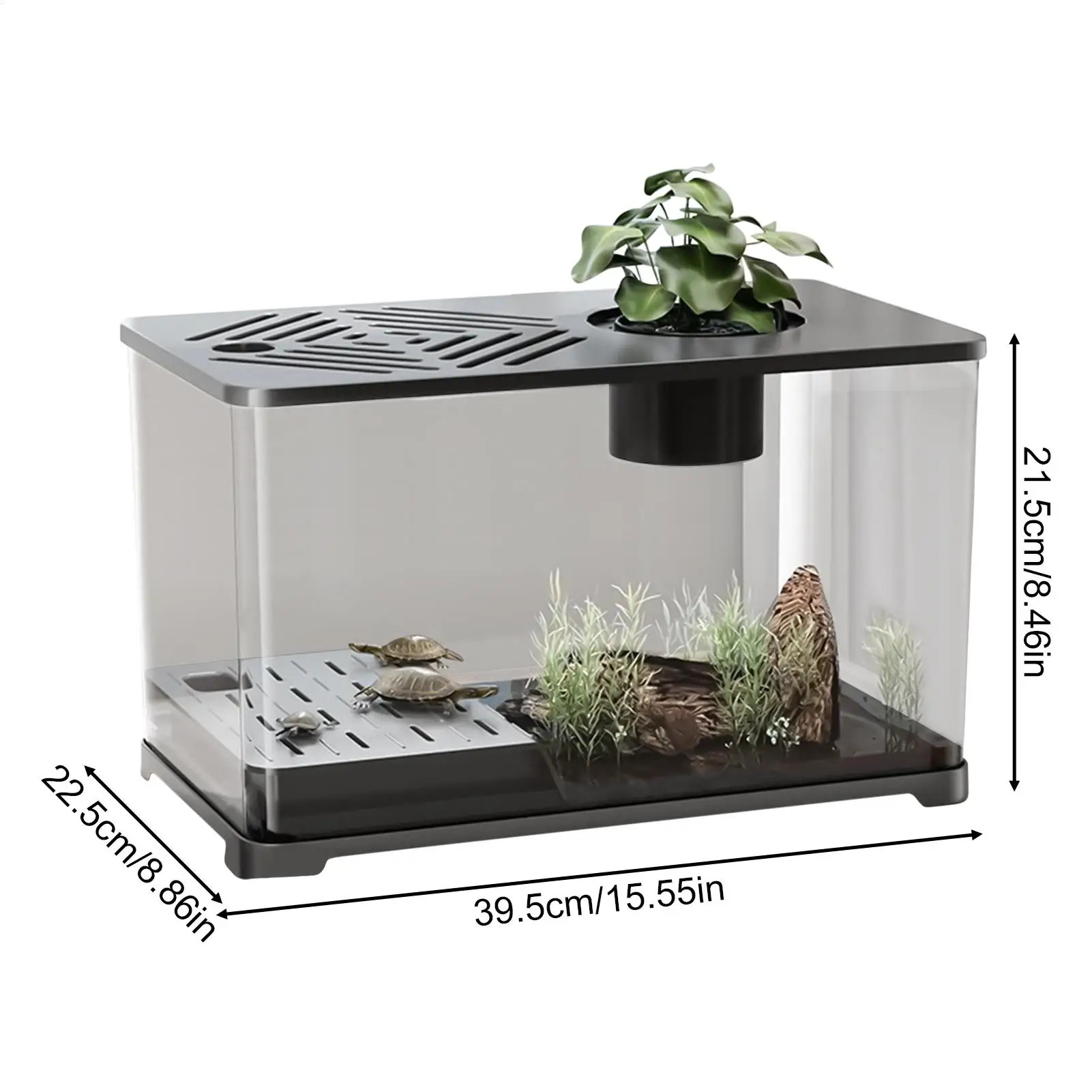 Betta Fish Tank Desktop Large Fish Tank Aquarium Modern Container With Turtle Resting Area Home Decorations For Betta Shrimp - Image 6