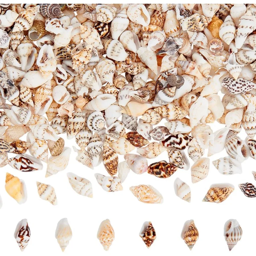 

1400-1500pcs Tiny Sea Shells 7-12mm Tiny Crushed Shells Miniature Shell NO Hole Seashells Ocean Spiral Seashells for Resin Craf