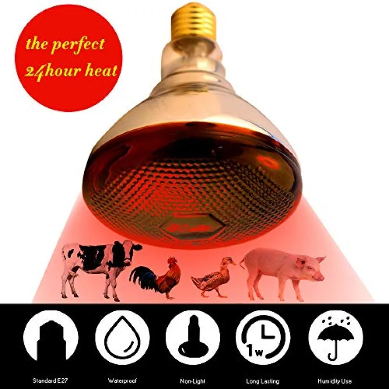 BONGBADA Quartz glass waterproof and explosion-proof red par38 agricultural infrared bulb Suitable for livestock and pets