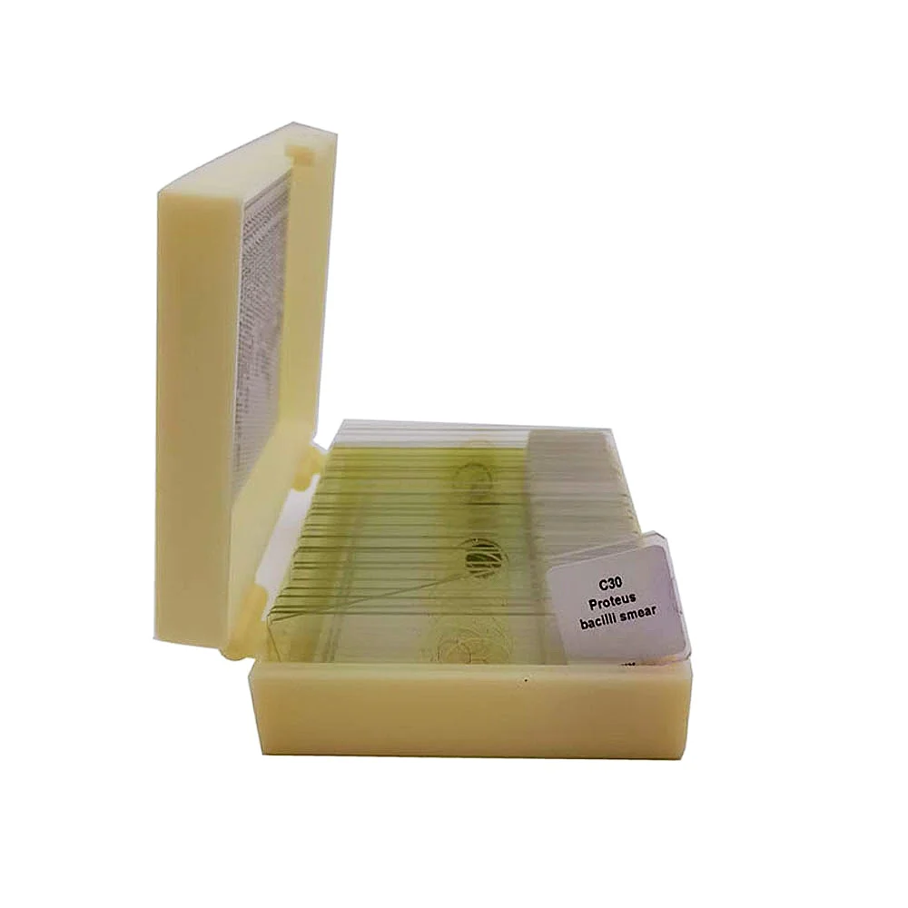 

Набор из 30 готовых предметных стекол с бактериями для обучения микробиологии