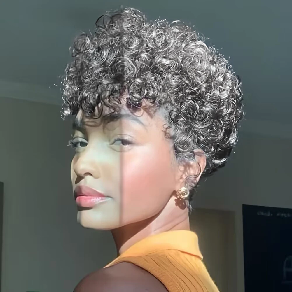 Short Afro Curly Synthetic Wigs for Black Women Gray Short Curly Wigs Girls Short Hairstyles