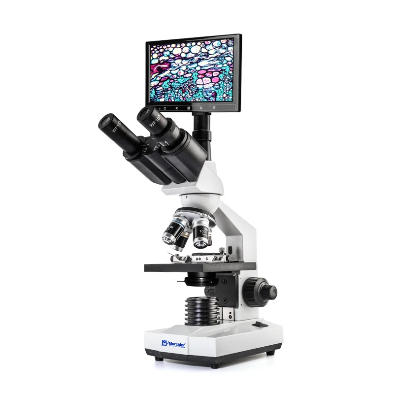 MSD-100-9-7C 40-400…