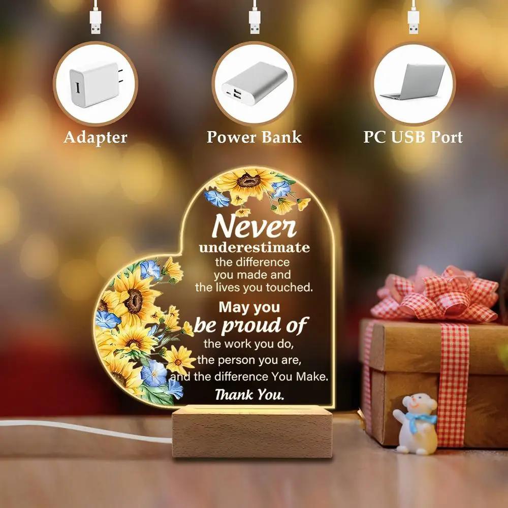 1 قطعة ملحقات التصوير الفوتوغرافي المضيئة من الأكريليك ، قاعدة USB ، هدية زميل الإناث ، تماثيل وداع ملهمة