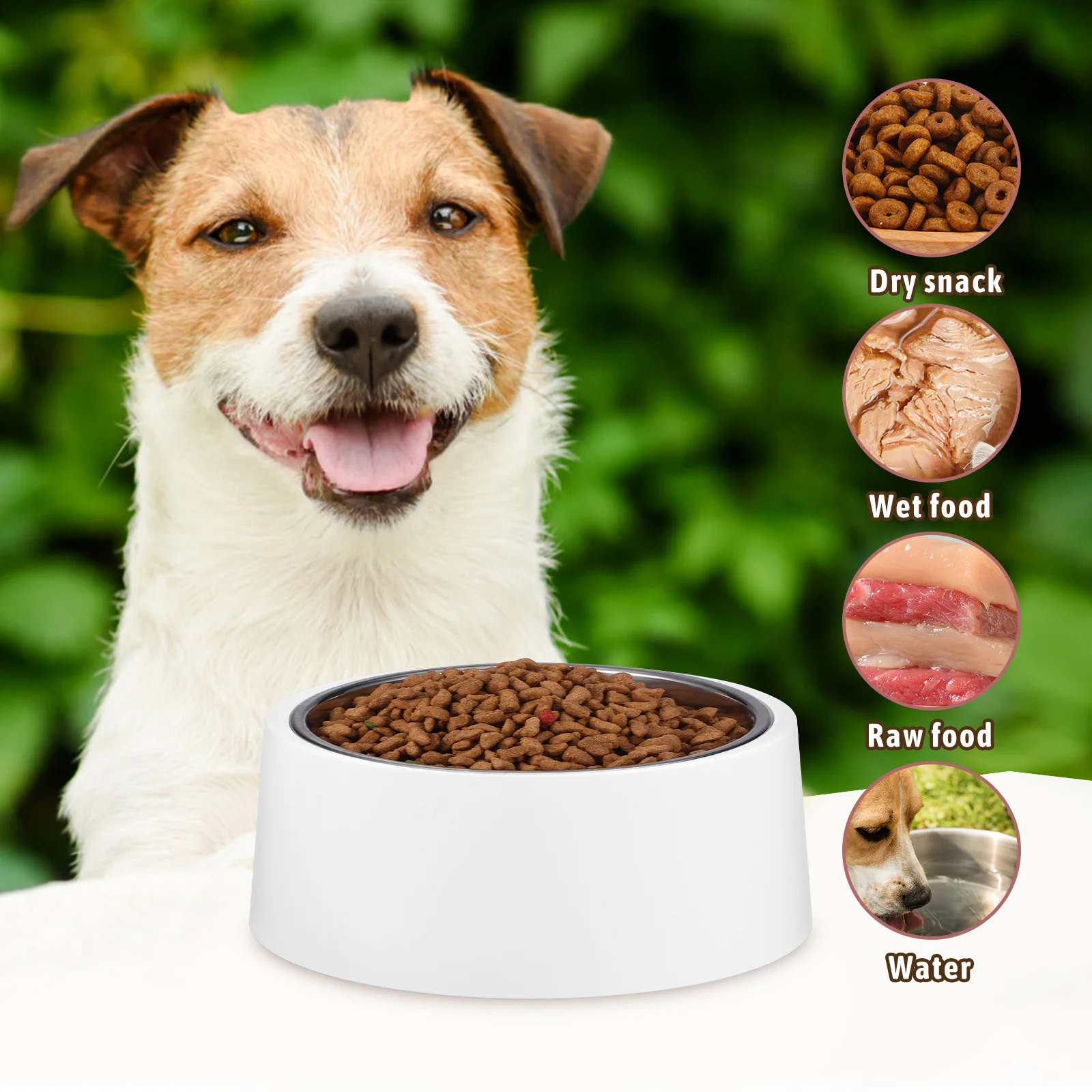 

Elevated Dog Bowl Stainless Steel Pet Feeder for Small Dogs White Raised Container Single Removable Bottom Stable Stand