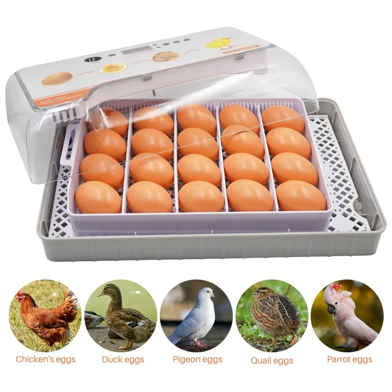 BMBY-Auto Turn Water-Auto Adding Egg Incubator For Hatching, 20-Egg Capacity Hatcher Machine For Hatching Chicken EU Plug