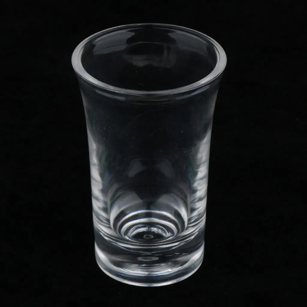 High Temperature Resistant Acrylic Whiskey Glass Unbreakable Water Cup for Thermal Mug Lovers