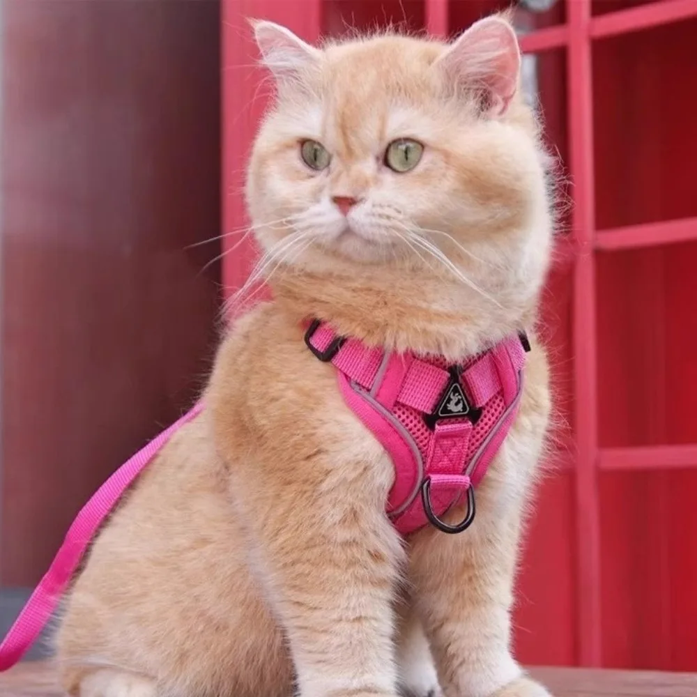 

Adjustable Cat Harness and Leash Sets Vest Style Breathable Mesh Pet Harnesses Kawaii Reflective Dogs Accessories Easy Control