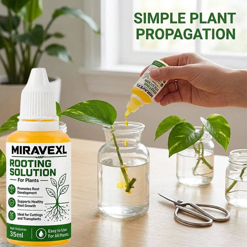 MIRAVEXL Liquid Rooting Hormone 35ml IBA Solution for Cuttings - Faster Root Growth Less Shock Water Soil LECA Pothos Monstera