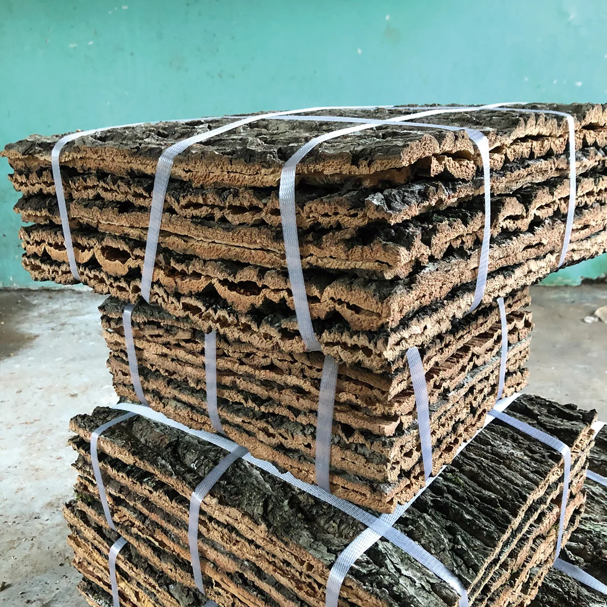15/30/40cm Drift Wood aquario acessório pet accessories Climber Reptile Lizard bark champagne tree bark Cork Pet Decoration