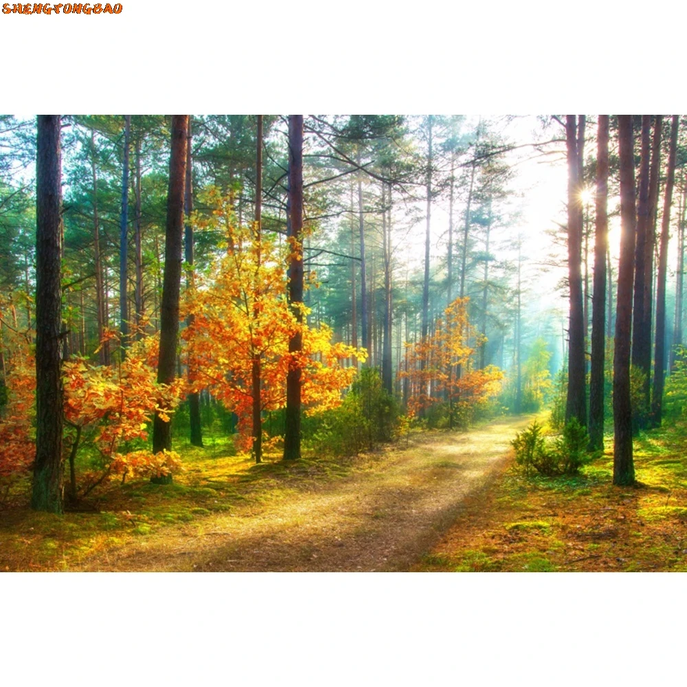 Осенний пейзаж, лиственный фон, лиственные горные дороги, деревья, желтые осенние листья, вид, фон для фотосъемки, реквизит для фотостудии