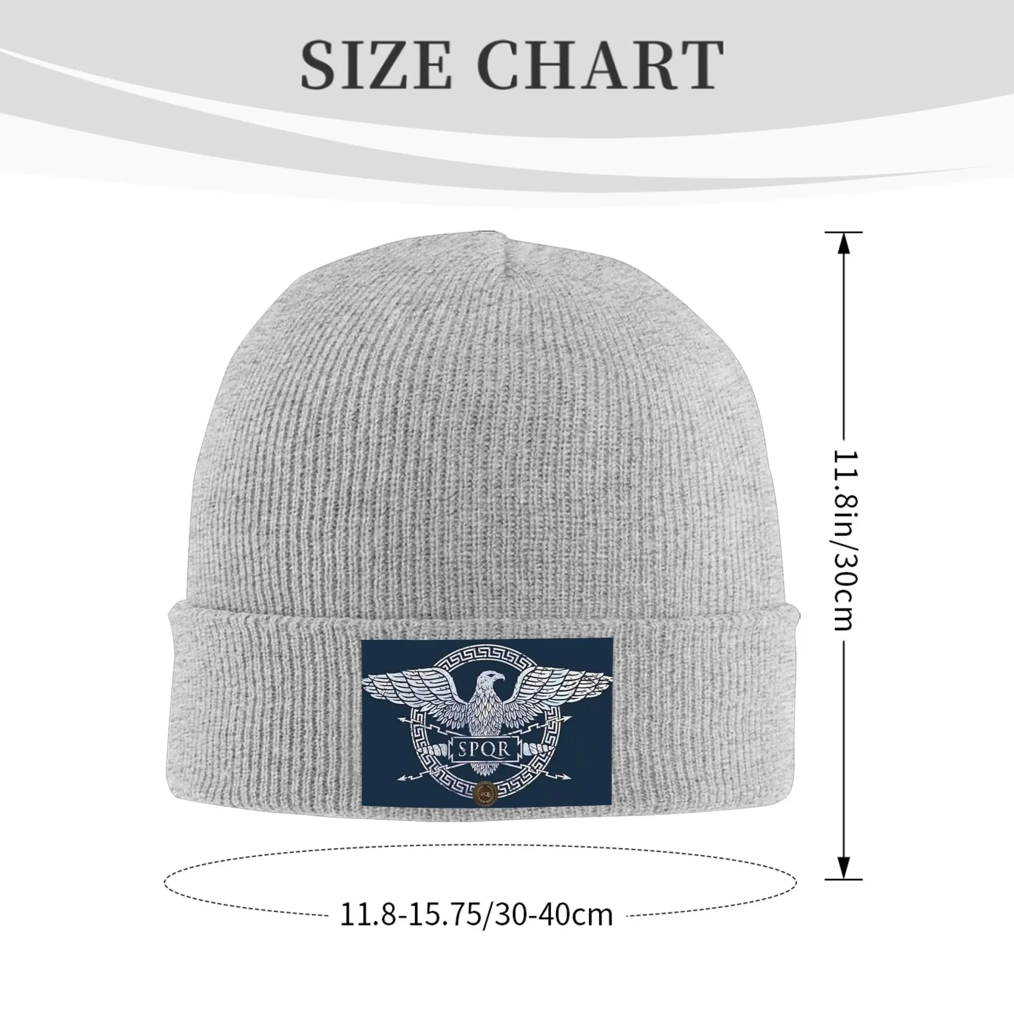Ancient Roman History Carthago Delenda Est Latin Quote SPQR Imperial Eagle Winter Skullies Beanies Hat Knitted Hats Bonnet Cap