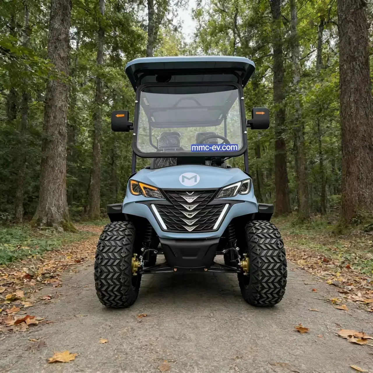 4WD Customized Color Street Legal 2 4 6 8 Passenger 48/60/72V 4000/5000/7000W CE Electric Golf Cart For Sale