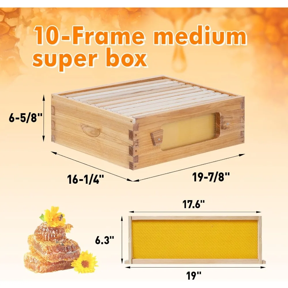 مجموعة أدوات إطار خلية النحل مع نوافذ، صناديق خلية النحل المطلية بشمع العسل لانجستروث لمربي النحل مع إطارات خلية النحل والشمع
